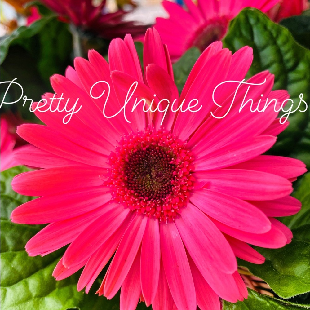 Meet your Posher, Michiru